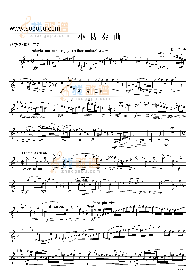 八级外国乐曲小协奏曲