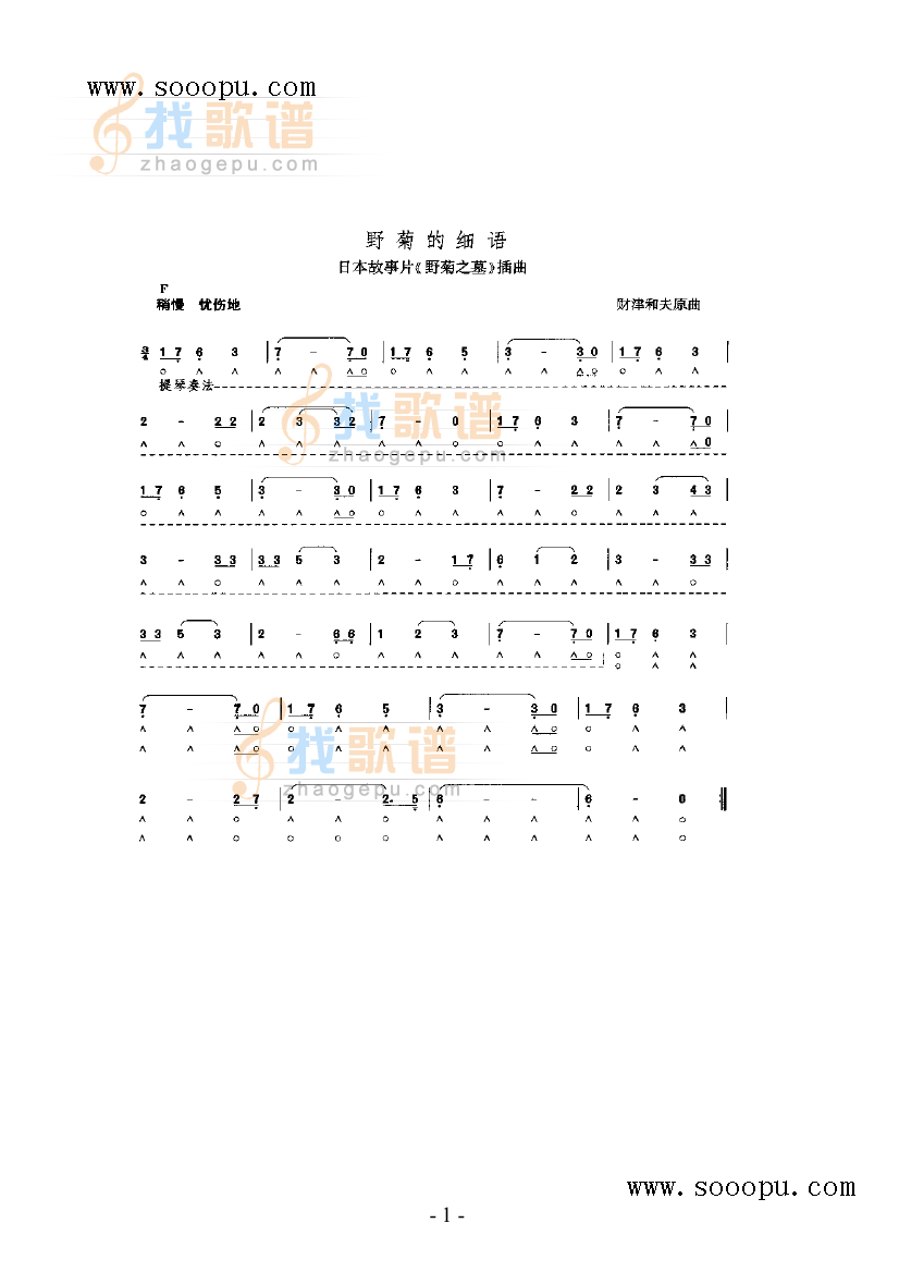 野菊的细雨
