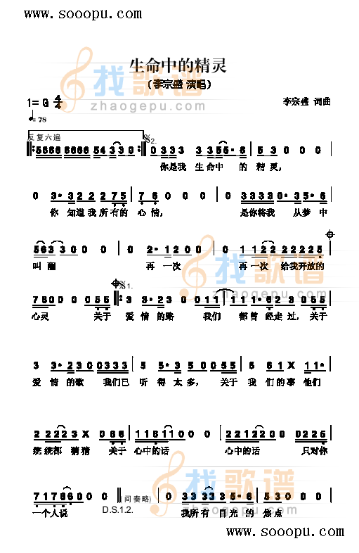生命中的精灵 