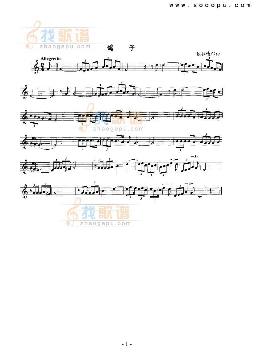 鸽子