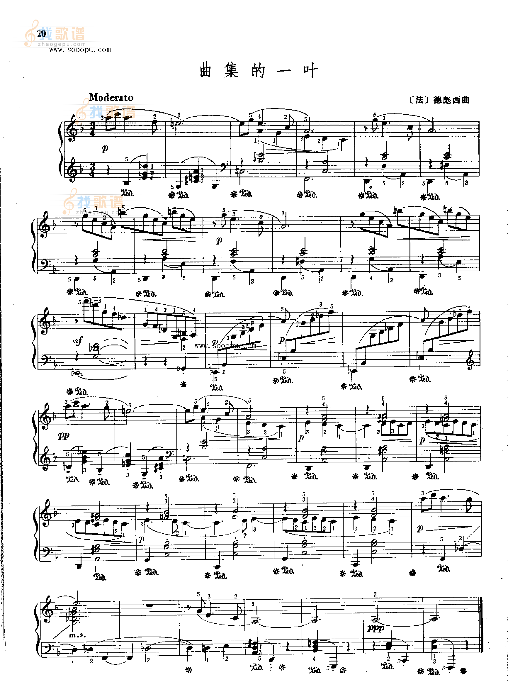 曲集的一叶 