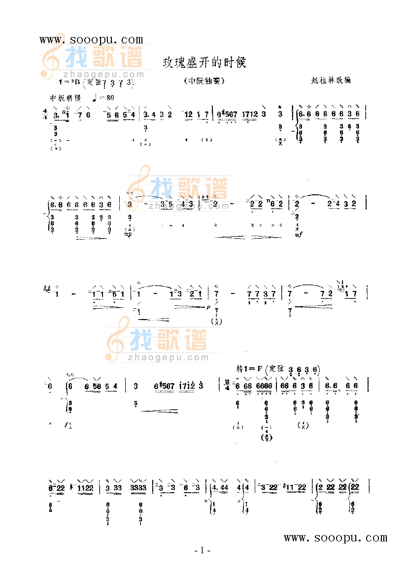 玫瑰盛开的时候