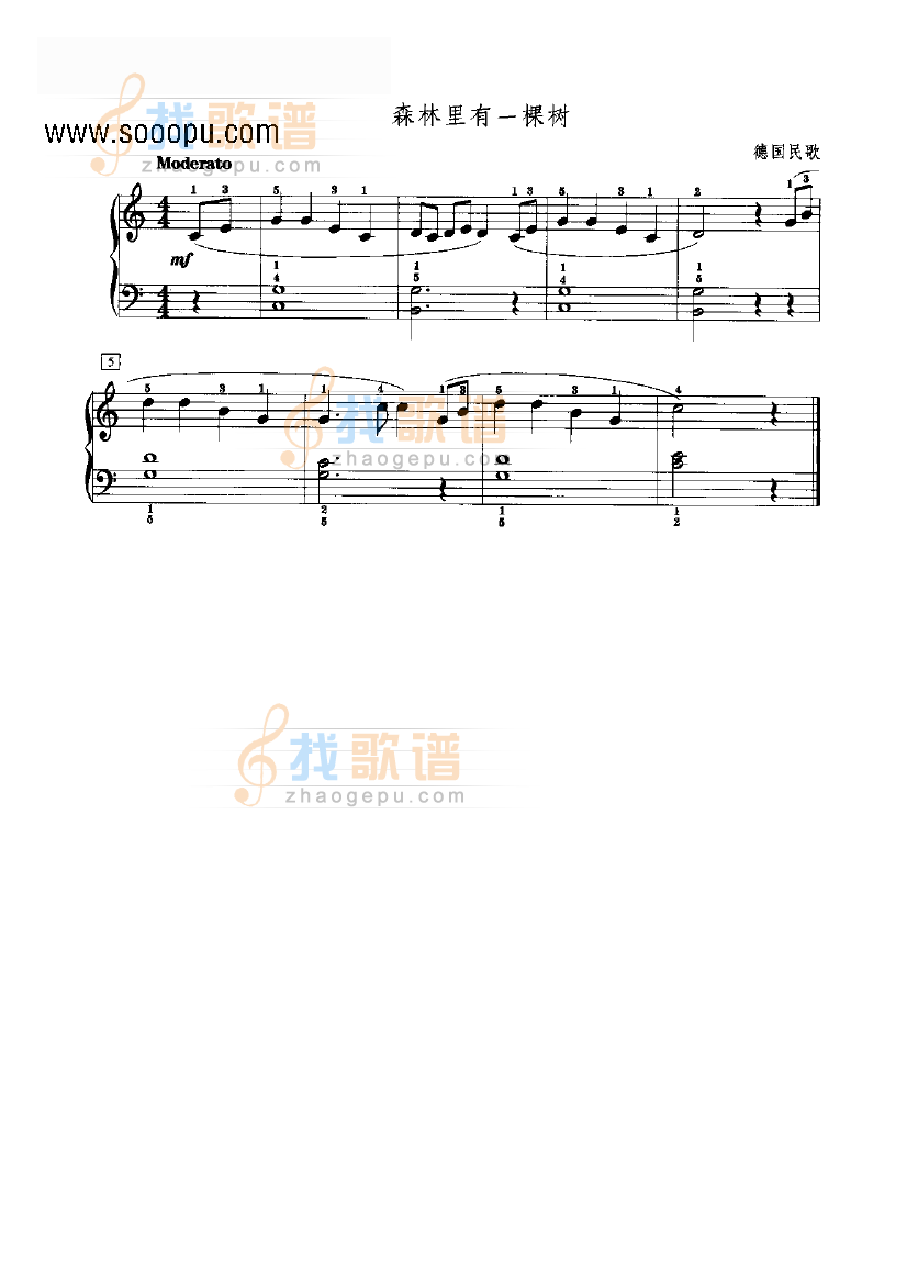 森林里有一棵树 