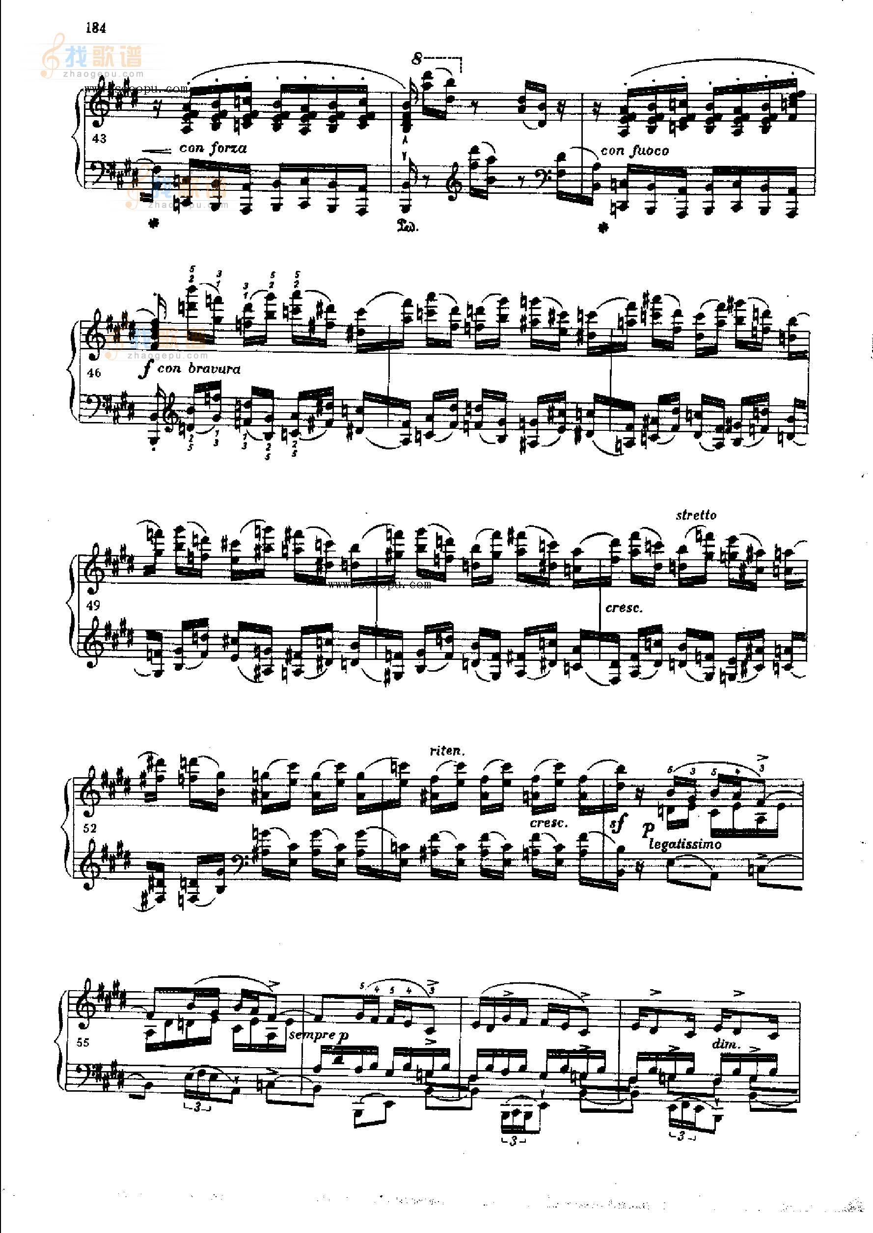 练习曲OP.10  Nr3 