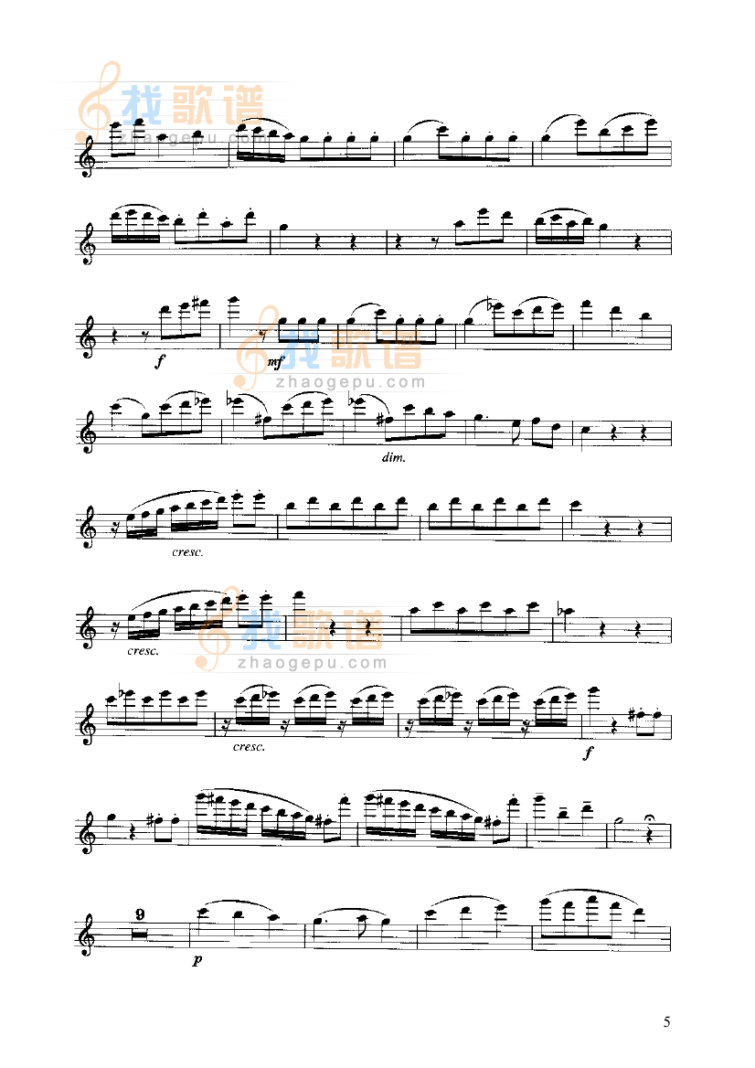 奏鸣曲 