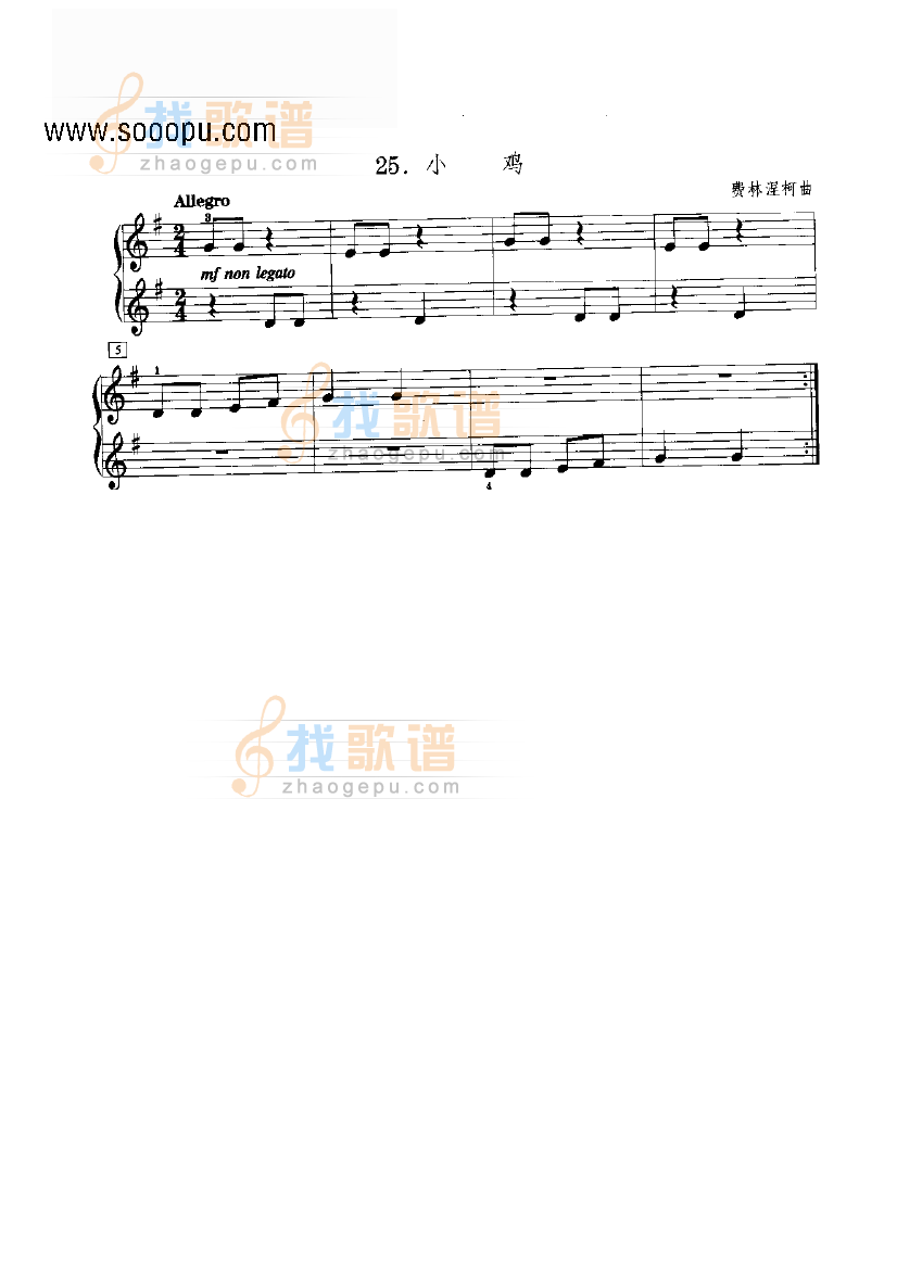 小鸡 