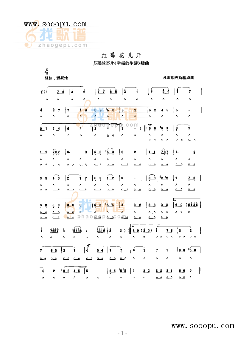 红霉花儿开