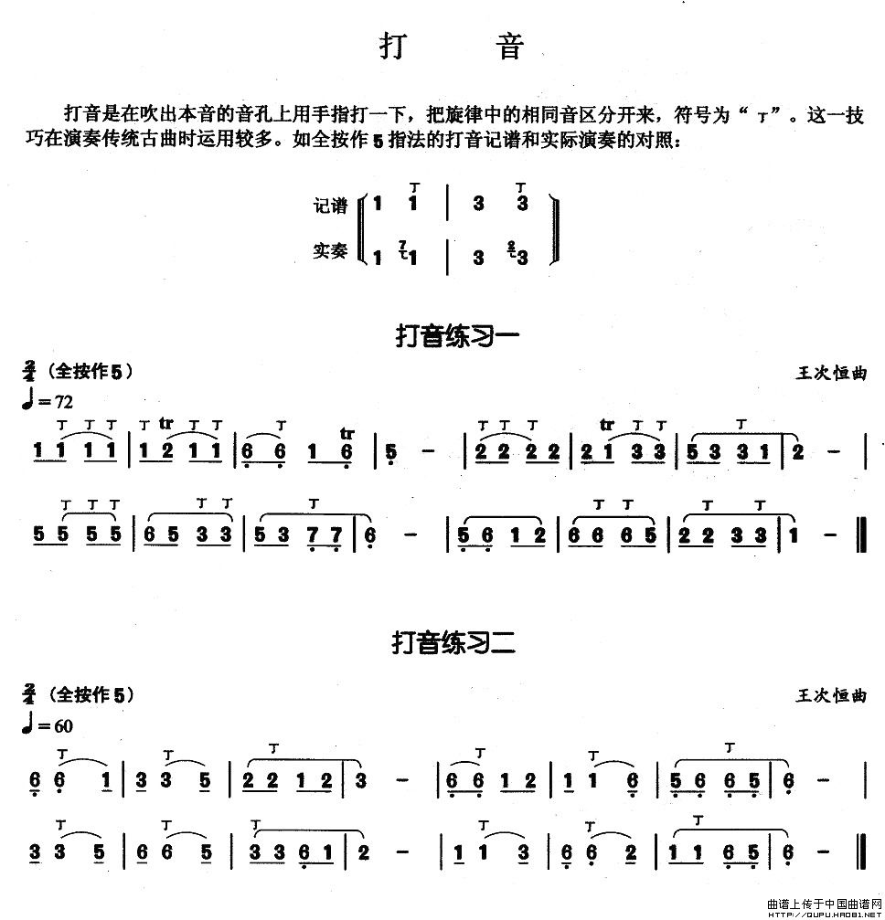 葫芦丝基本技巧练习曲--打音