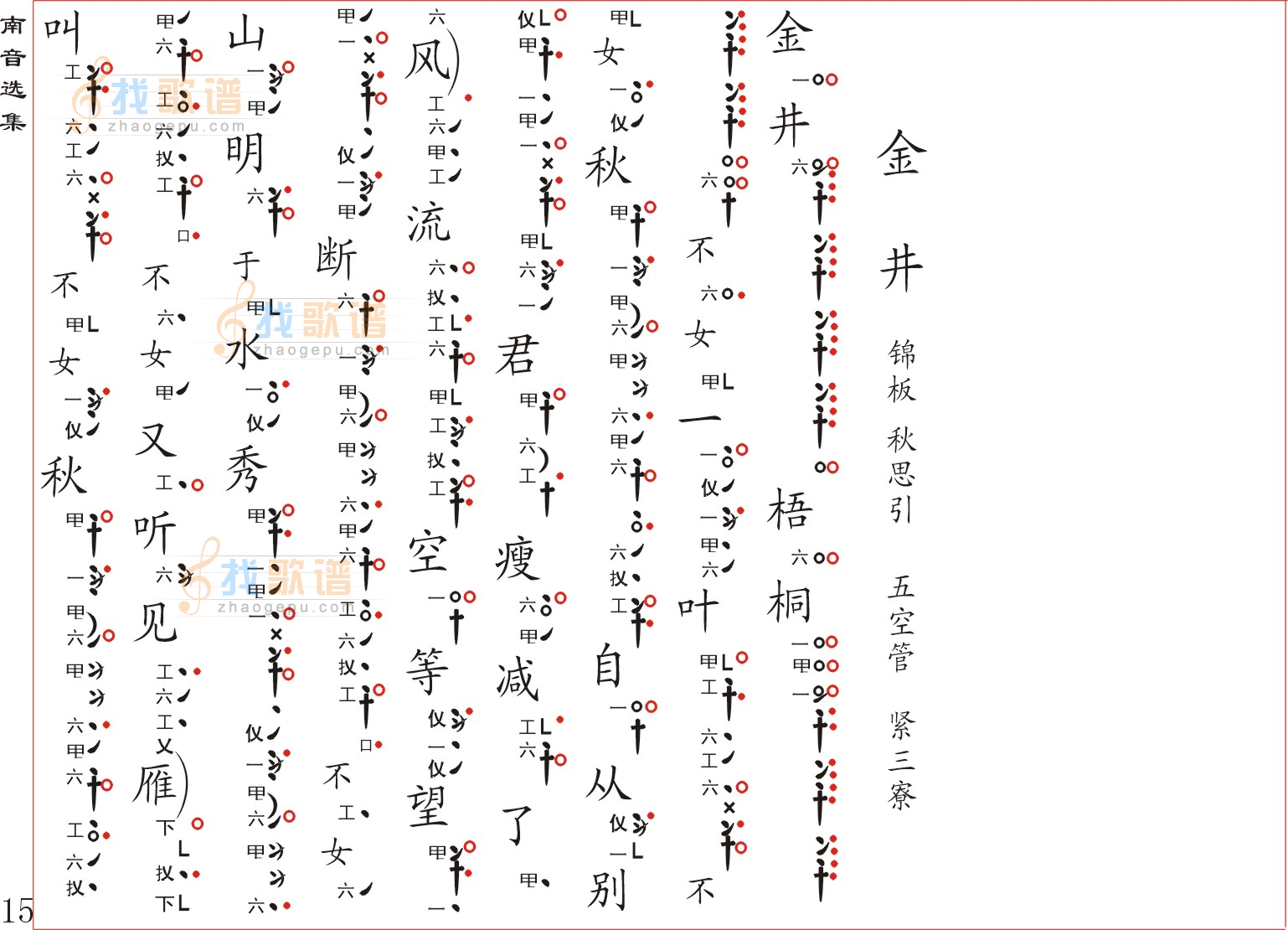 金井梧桐