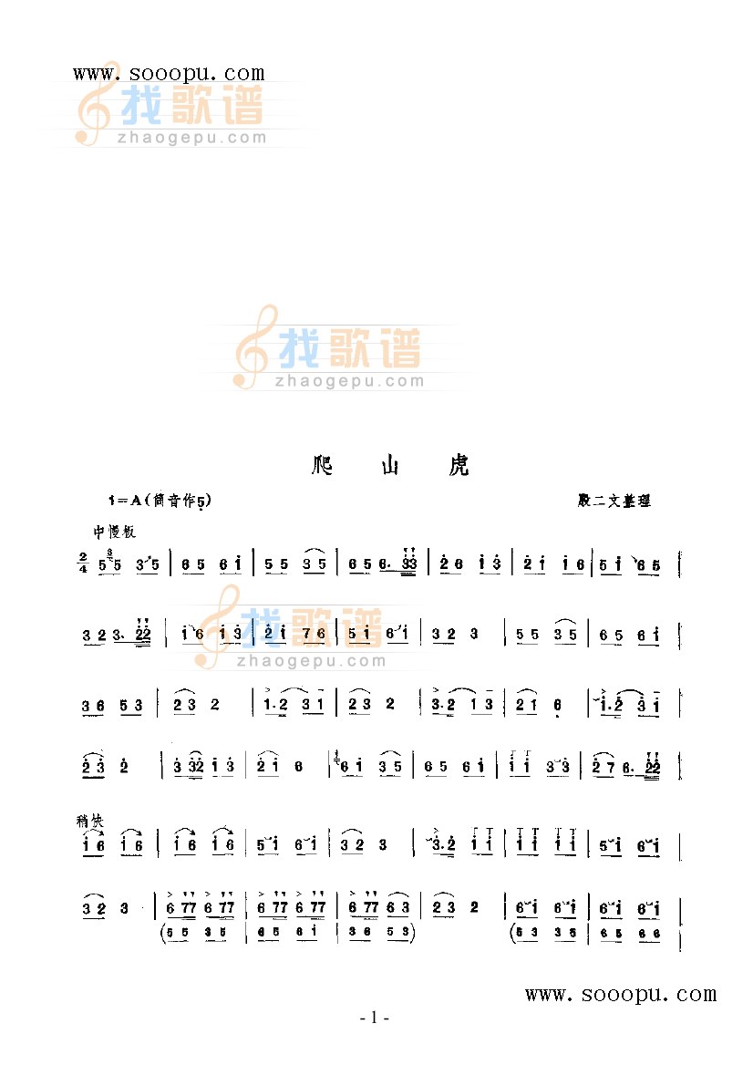 爬山虎