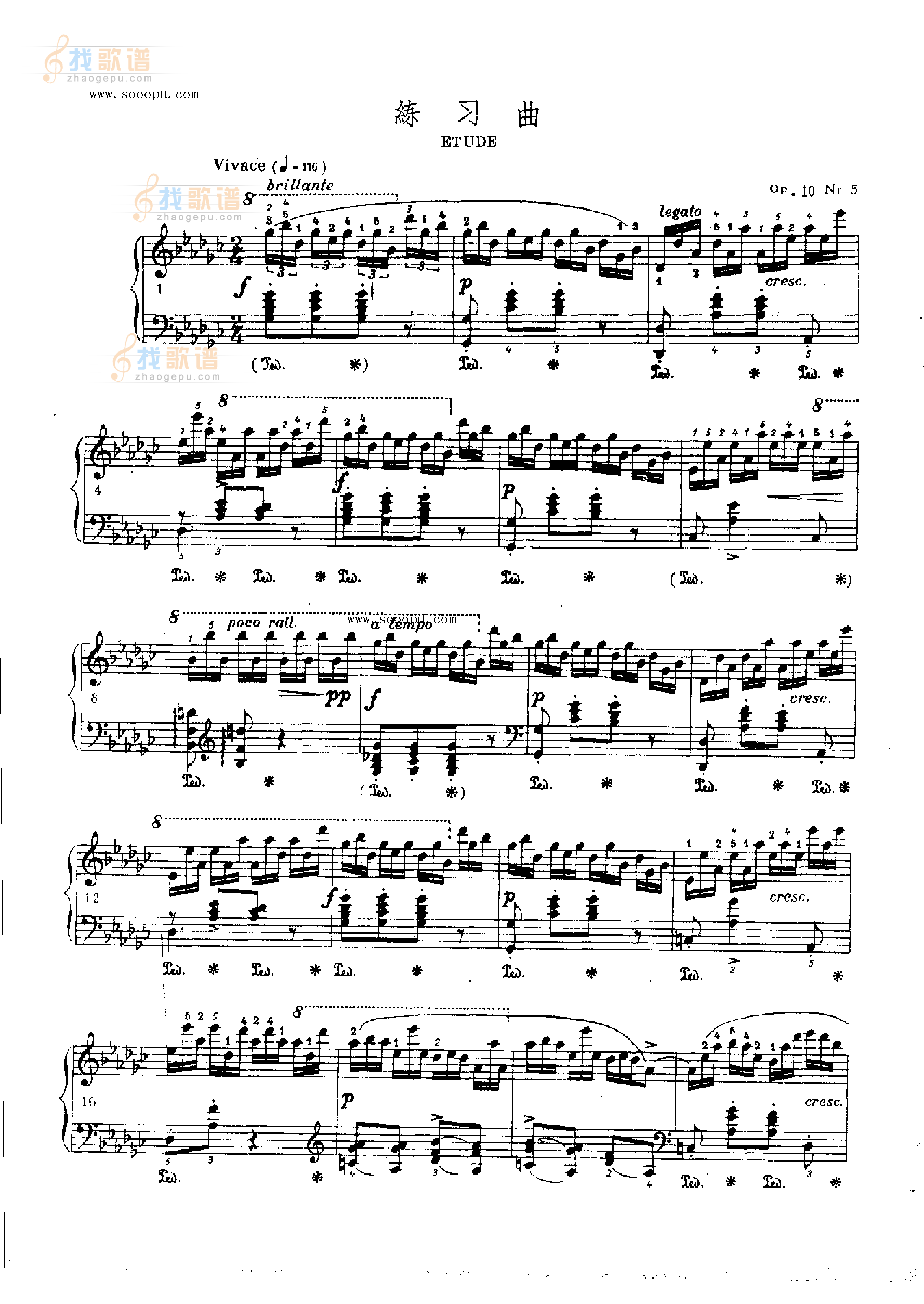 练习曲OP.10  Nr5 