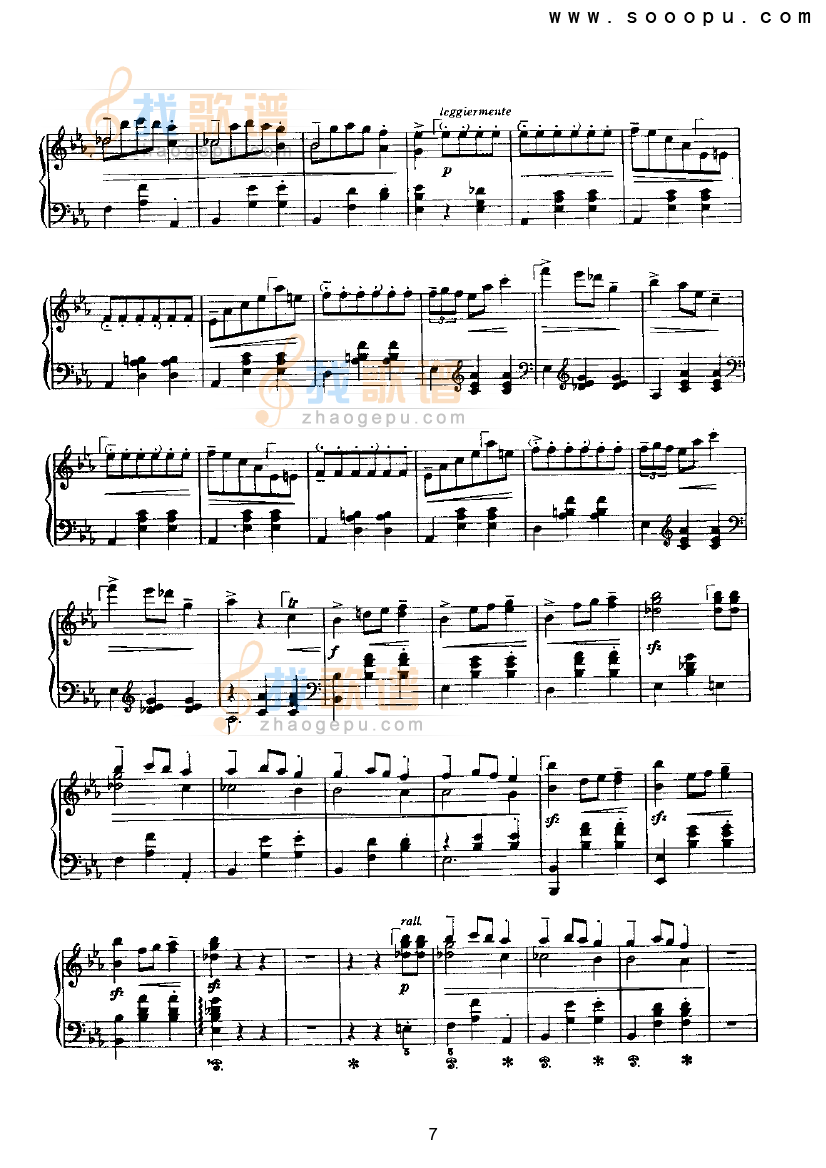 辉煌的大圆舞曲 