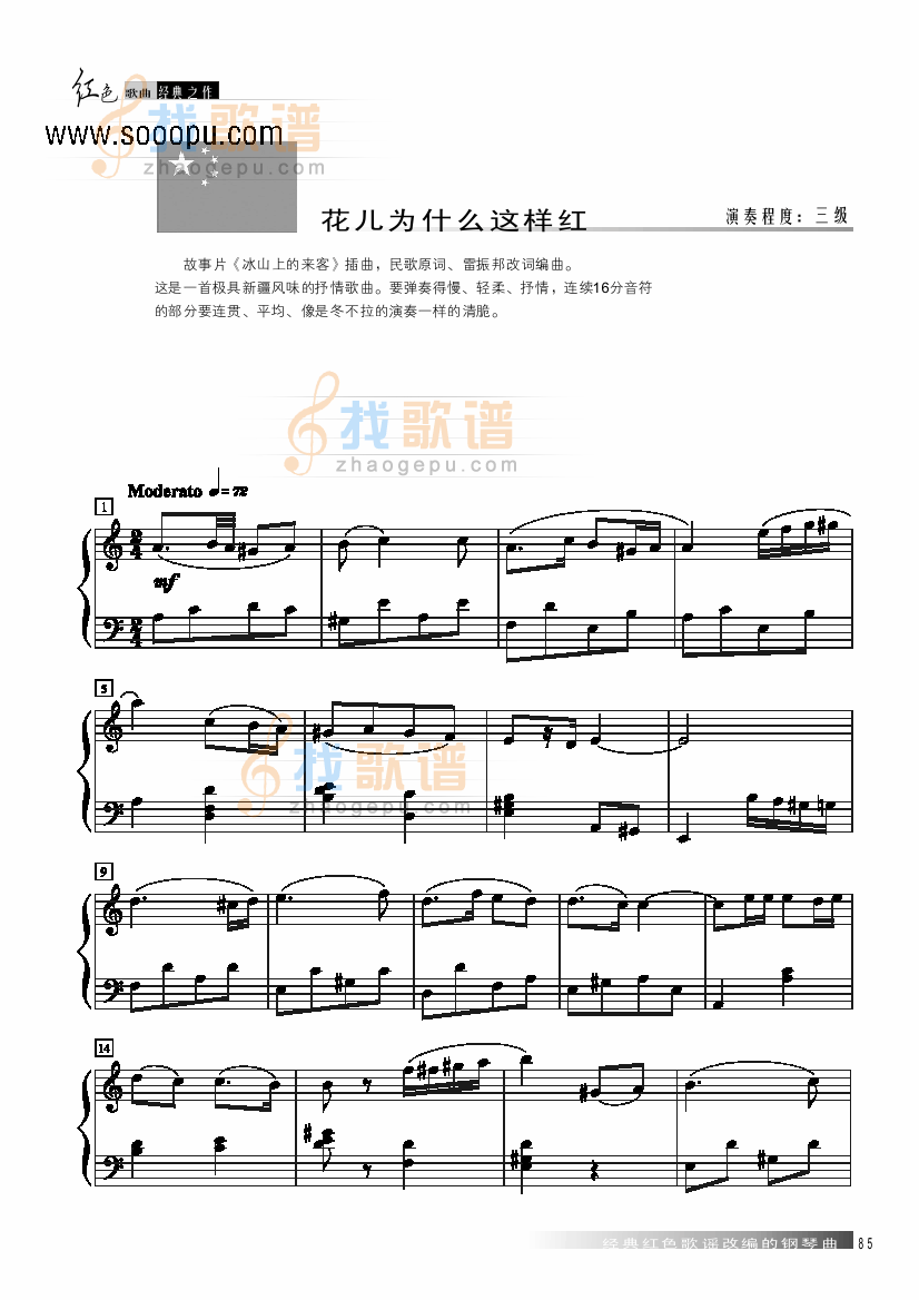 花儿为什么这样红 
