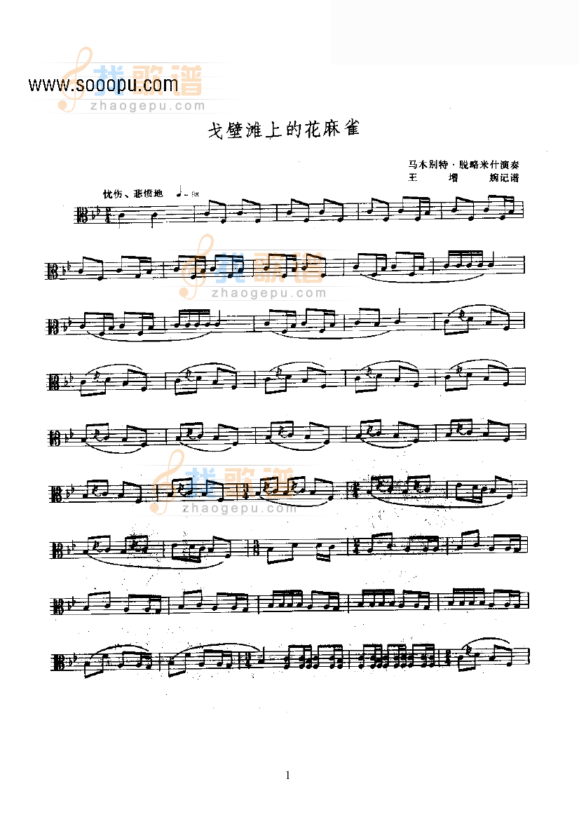 戈壁滩上的花麻雀—考姆孜.