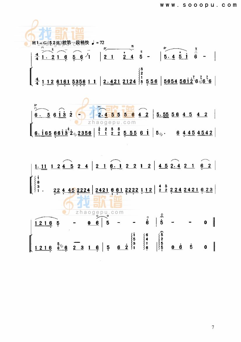 琵琶韵