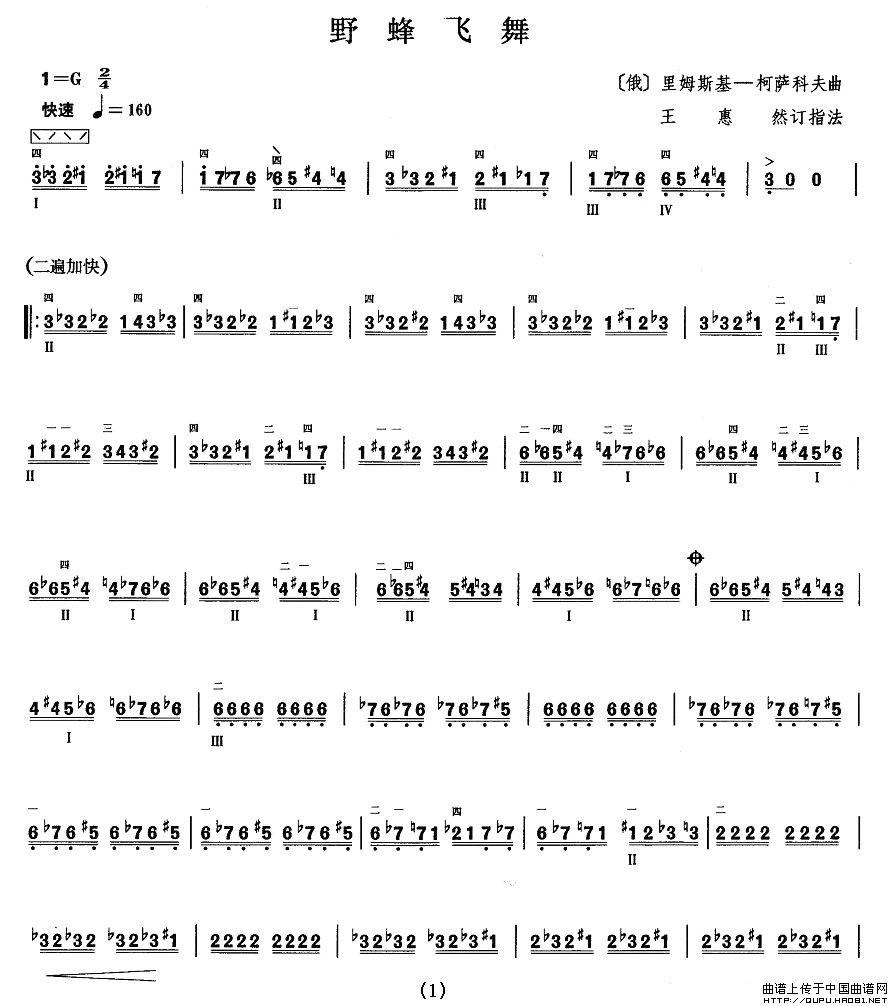 柳琴九级：野蜂飞舞
