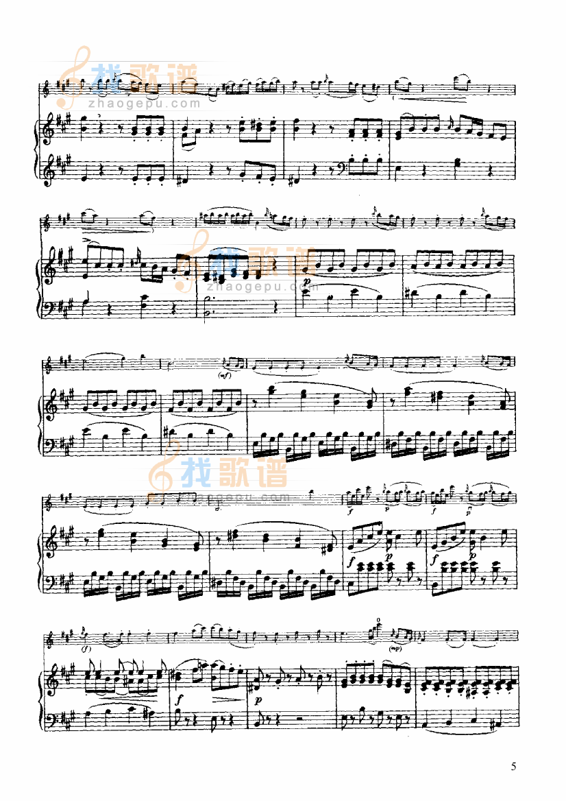 小提琴协奏曲