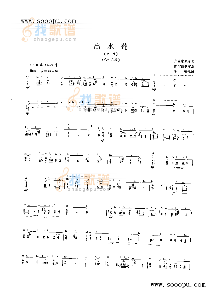 出水莲