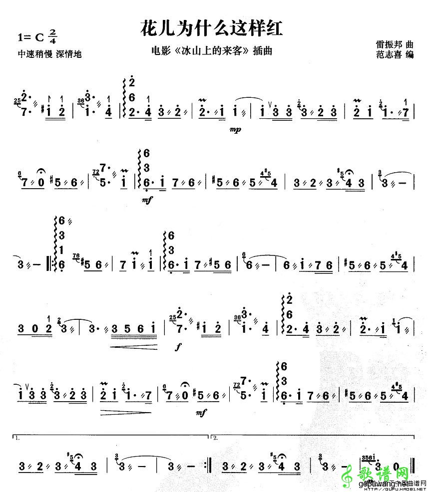 花儿为什么这样红