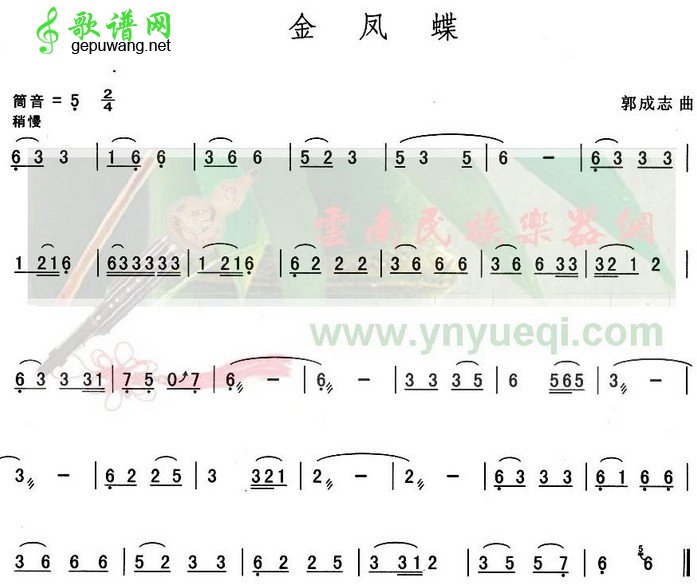 金凤蝶