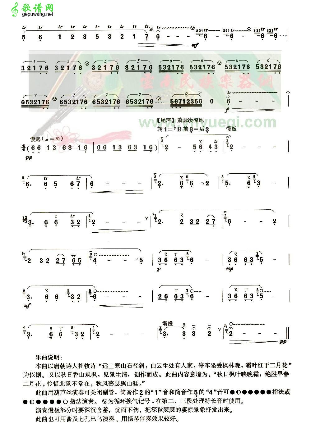 秋枫秋枫