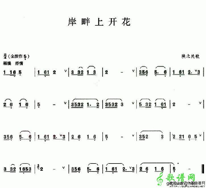 岸畔上开花