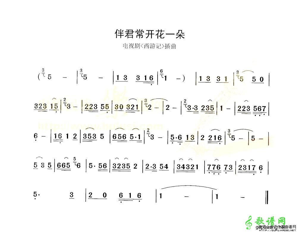 伴君常开花一朵_伴君常开花一朵