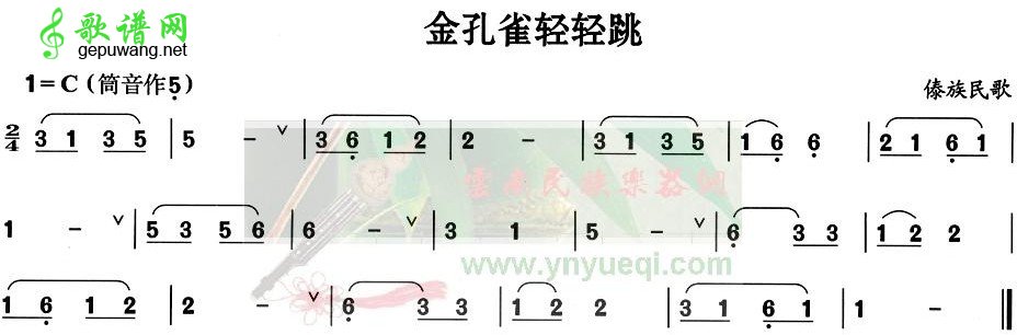 金孔雀轻轻跳