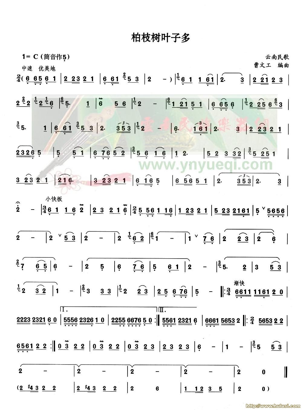柏子树叶子多