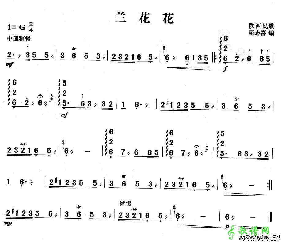 兰花花