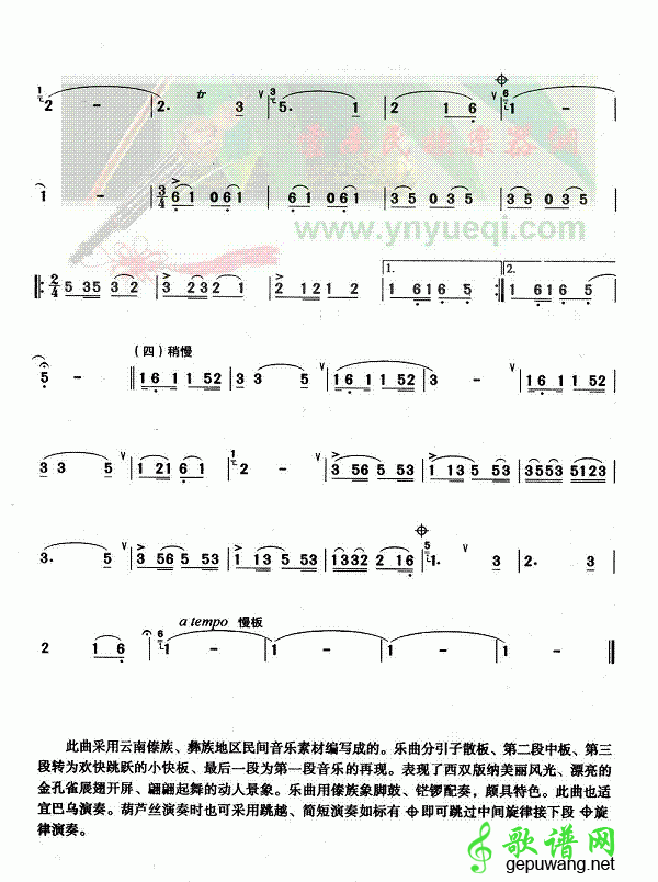 版纳风光