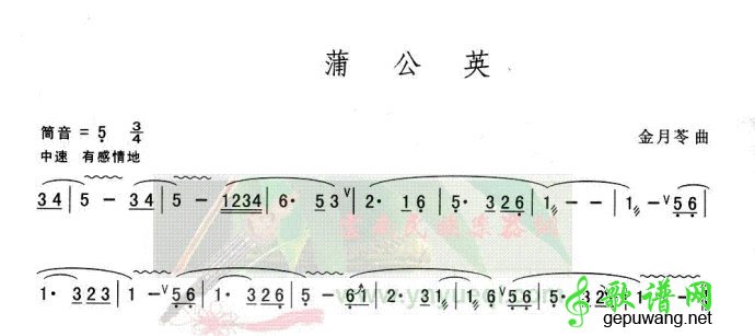 蒲公英