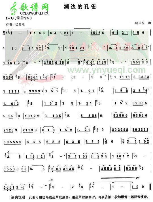 湖边的孔雀