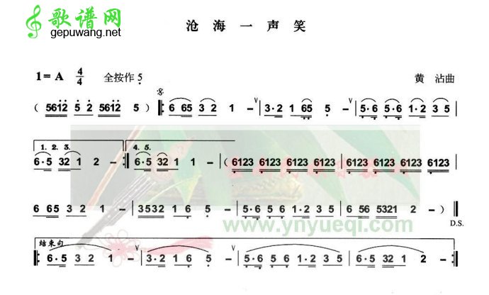 沧海一声笑