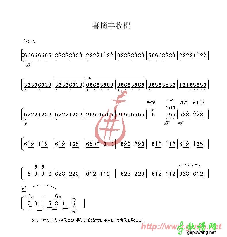 喜摘丰收棉
