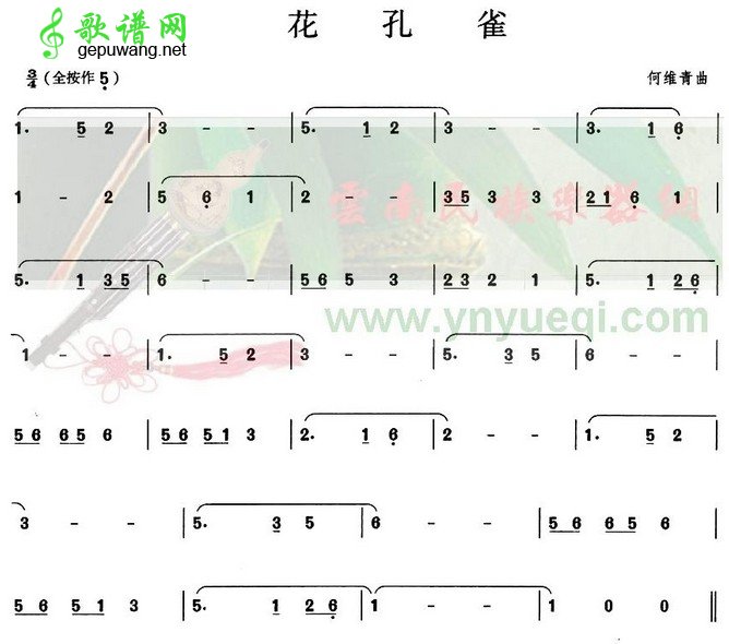 花孔雀