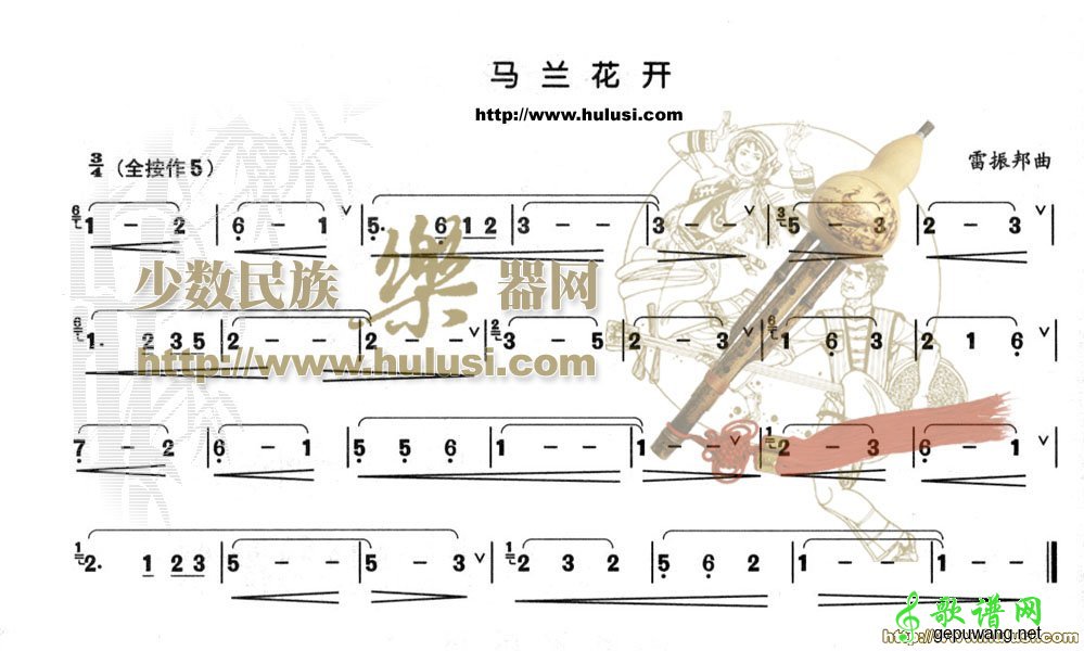 马兰花开