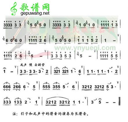 花开德昂山