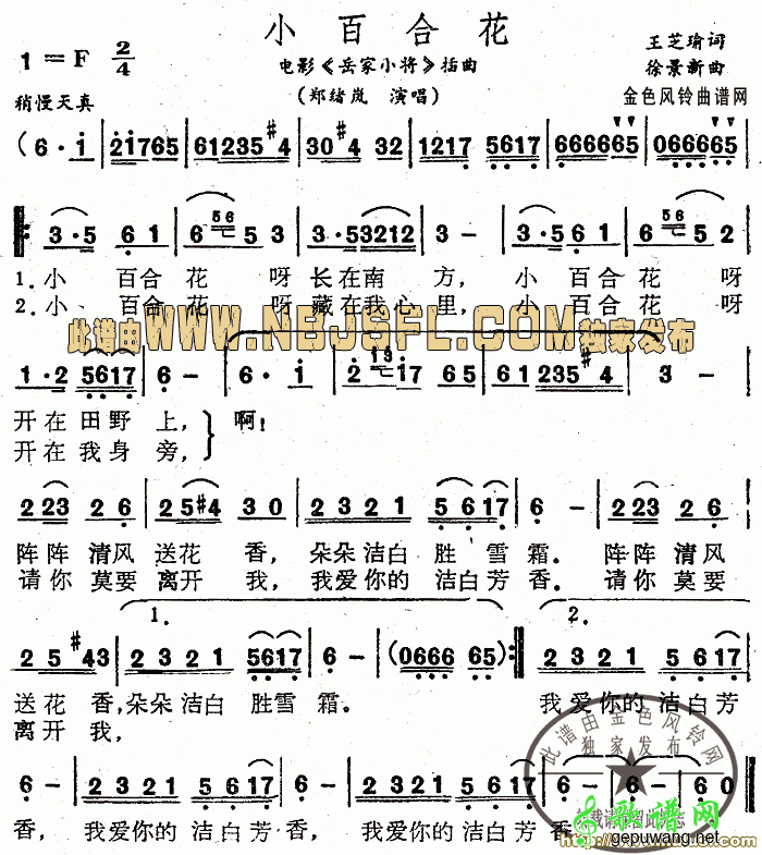 小百合花
