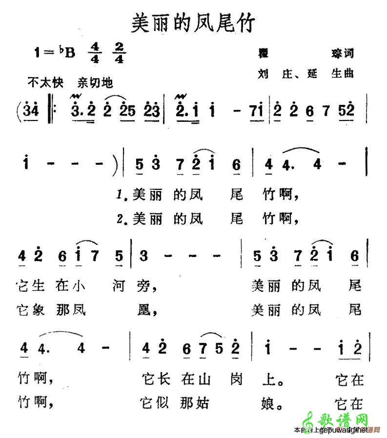 美丽的凤尾竹