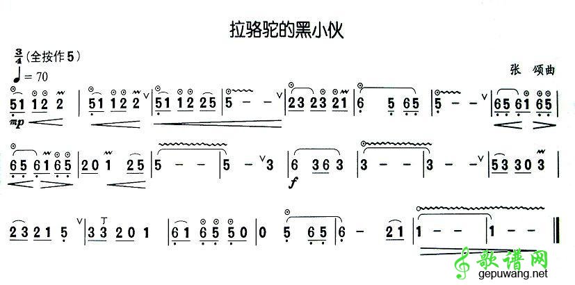 拉骆驼的黑小伙