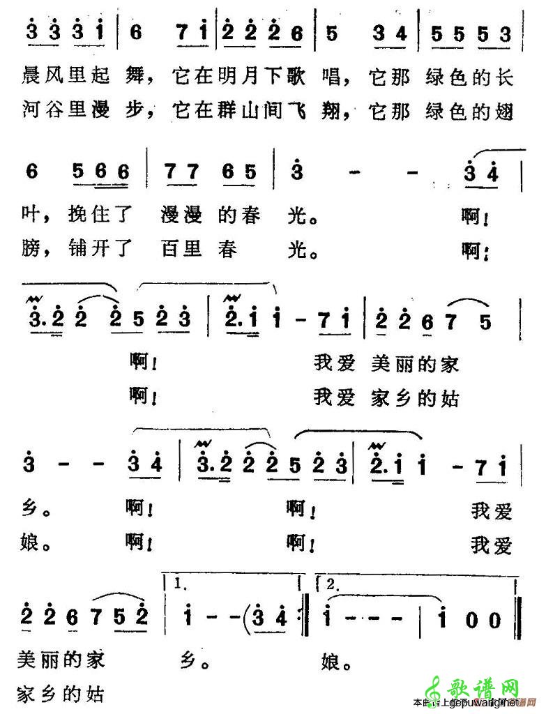 美丽的凤尾竹