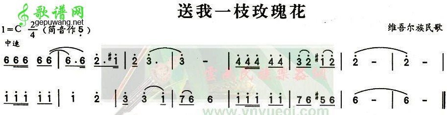 送我一枝玫瑰花