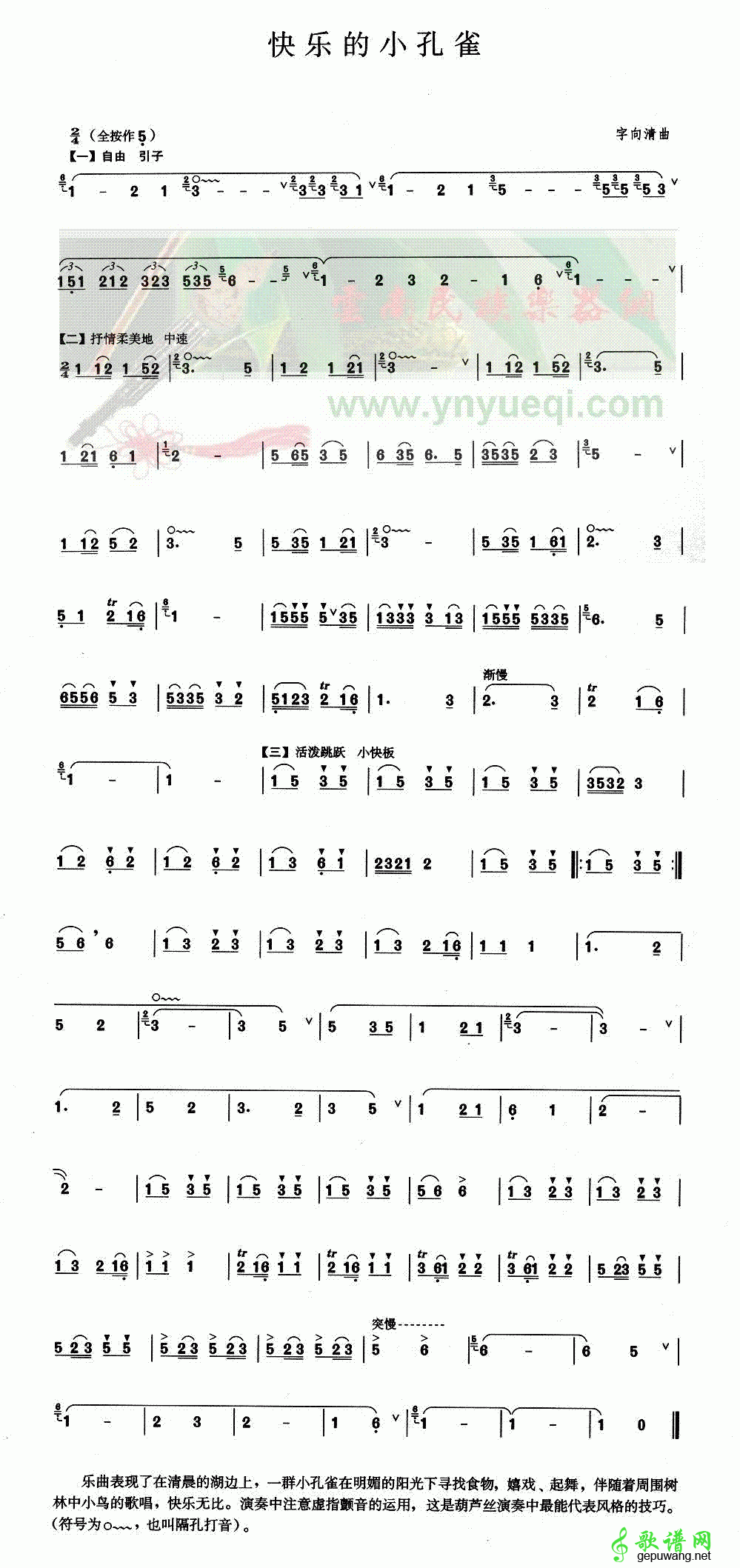 快乐的小孔雀