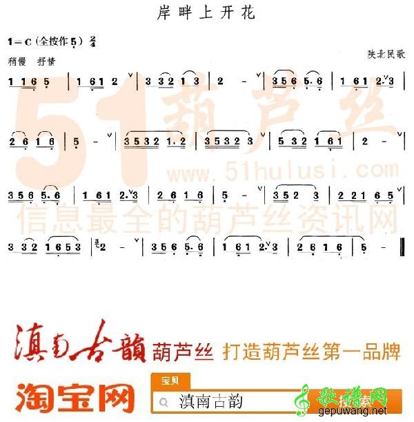 岸畔上开花