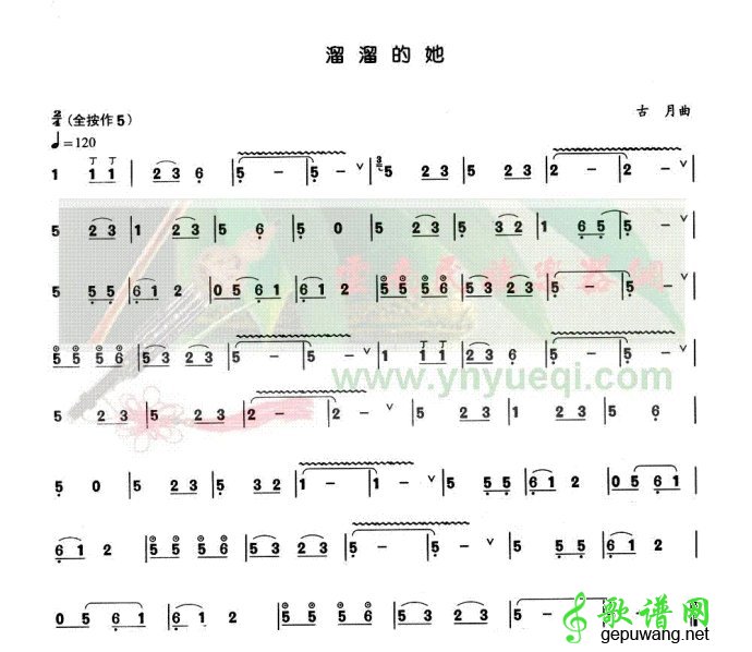 溜溜的他