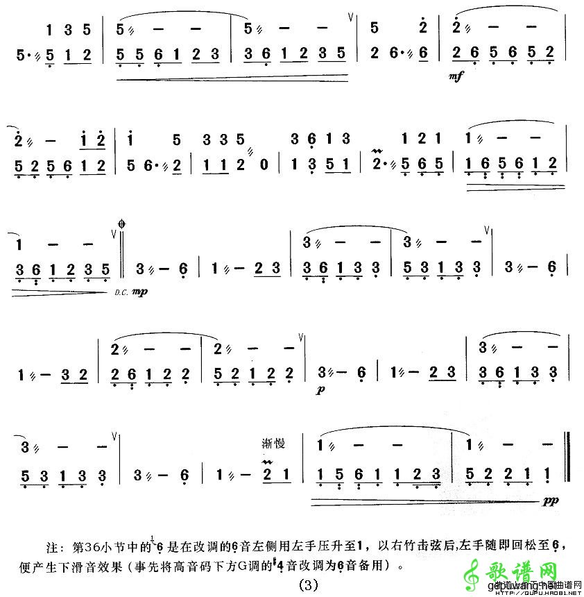 月光下的凤尾竹