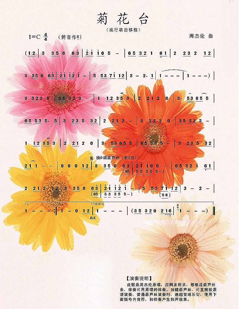 菊花台_菊花台