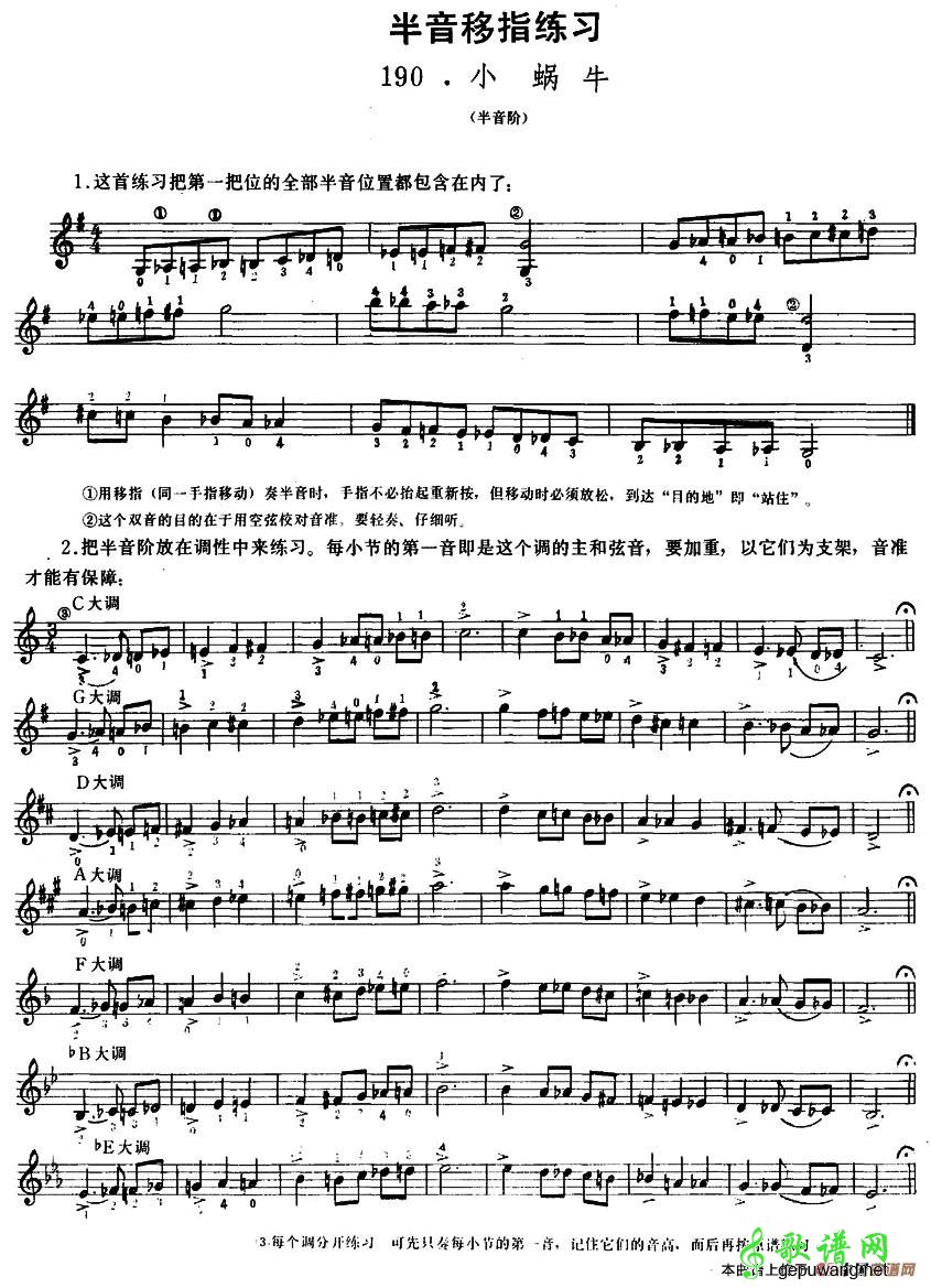 小蜗牛