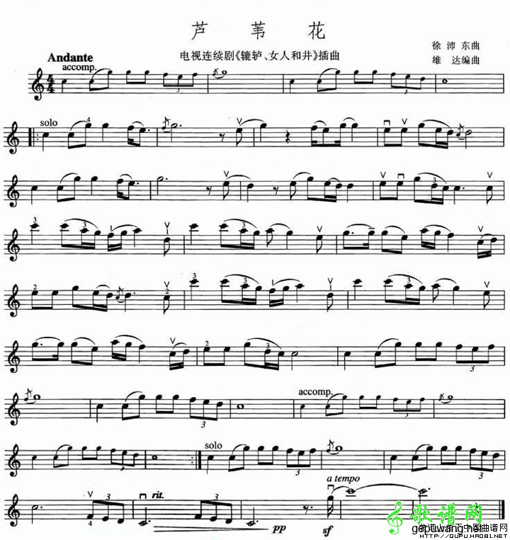 芦苇花
